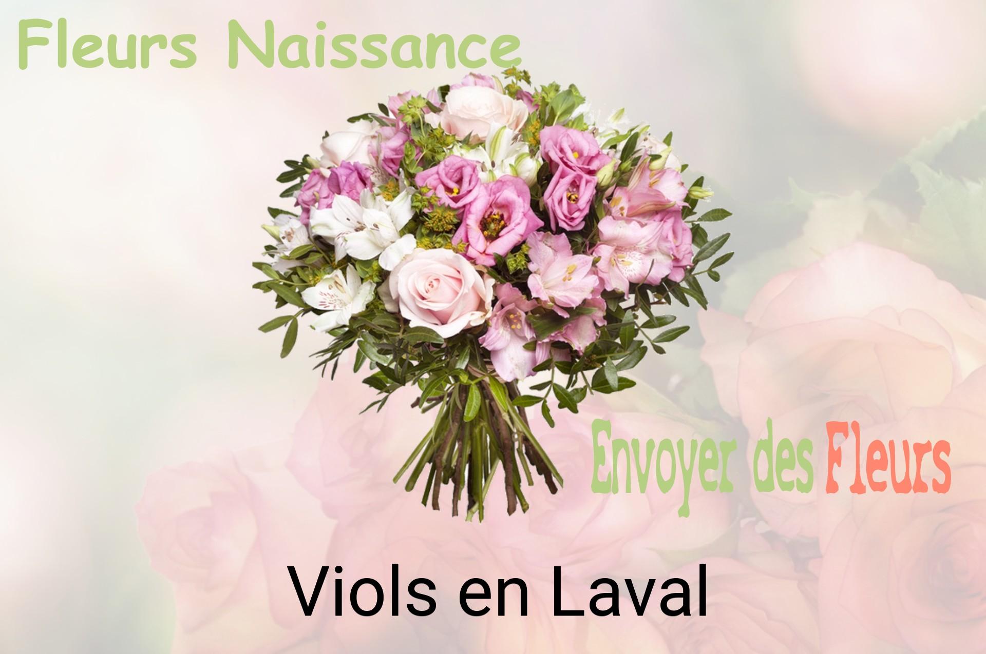 Bouquet de fleurs de naissance livré à Viols-en-Laval