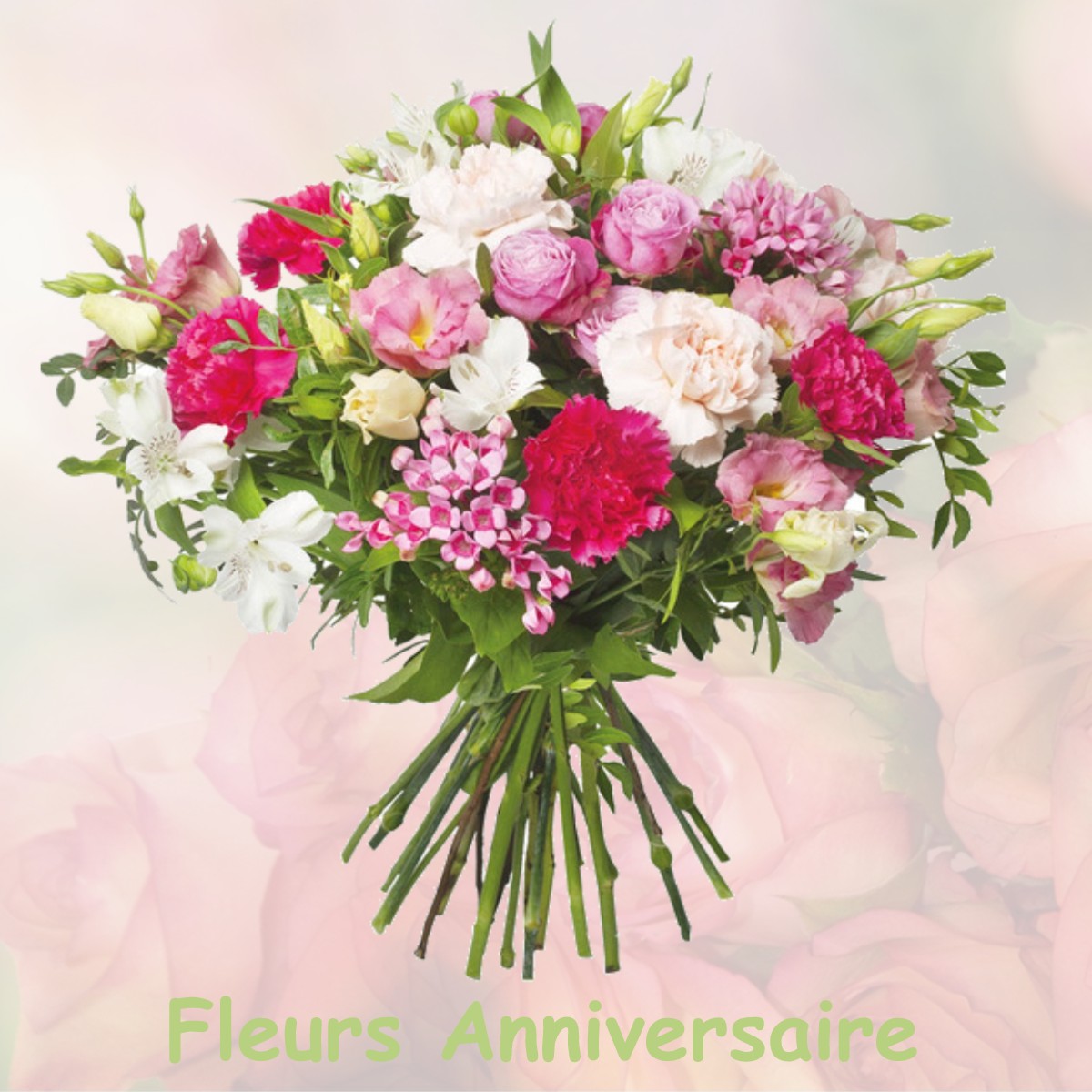fleurs anniversaire VIOLS-EN-LAVAL