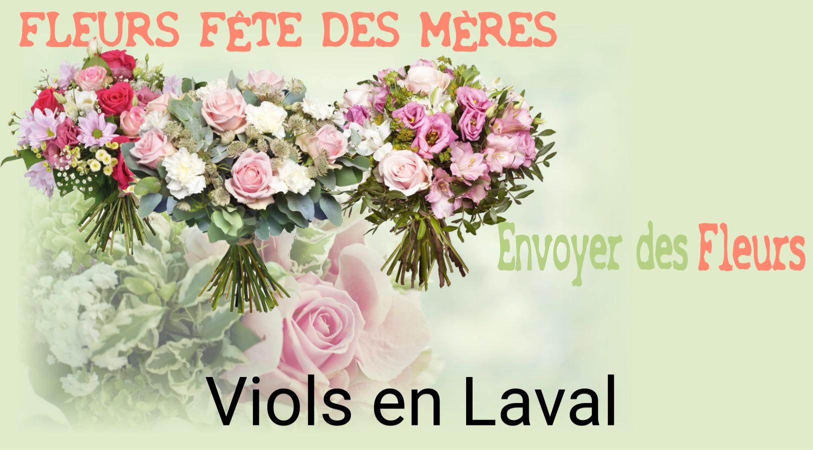 Bouquet de Fête des Mères livré à Viols-en-Laval